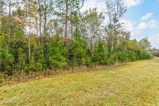 Near 169 Lizzies Drive, Home with 0 bedrooms, 0 bathrooms and null parking in Bolton NC | Image 11