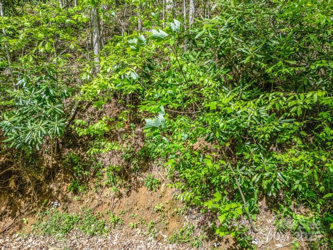 8 White Birch Ct, Home with 0 bedrooms, 0 bathrooms and null parking in Black Mountain NC | Image 19