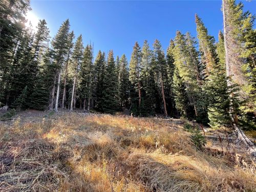 11 Kimmes Ln, BRECKENRIDGE, CO, 80424-6049 | Card Image