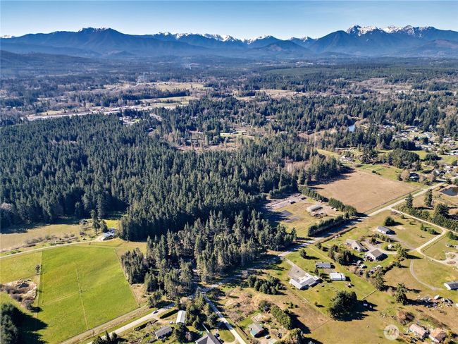 0 Pinnell Rd, Home with 0 bedrooms, 0 bathrooms and null parking in Sequim WA | Image 12