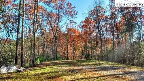 3 Hidden Forest Trl, Todd, NC, 28684 | Card Image