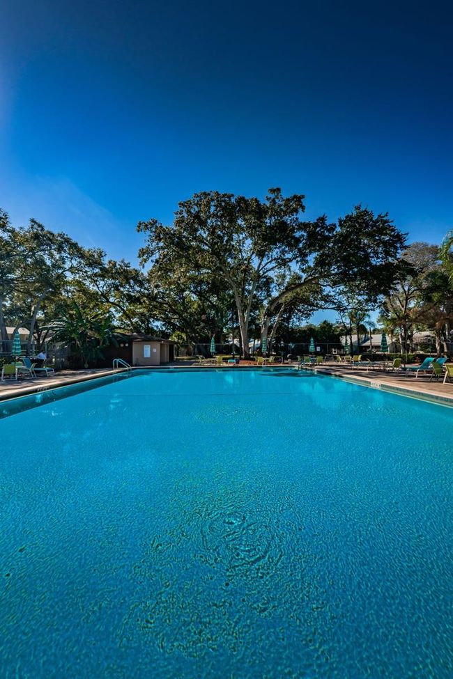 Pool | Image 47
