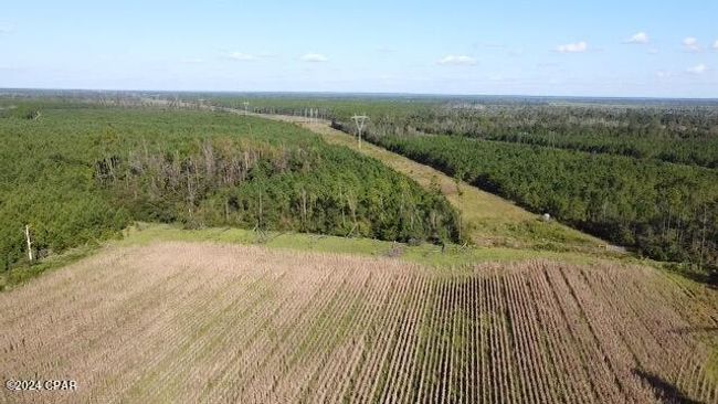 00 State Road 71 N, Home with 0 bedrooms, 0 bathrooms and null parking in Altha FL | Image 10