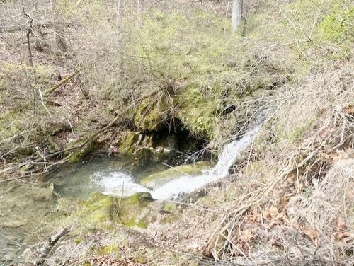 TBD Atkins Mill Rd., Wytheville, VA, 24382 | Card Image