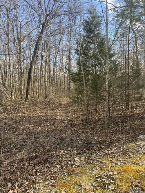 0 Boyton Valley Rd, Manchester, TN, 37355 | Card Image