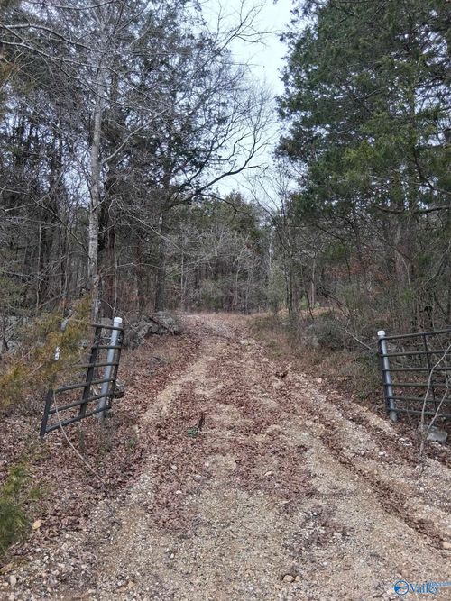 93.67 County Road 106, Trenton, AL, 35774 | Card Image