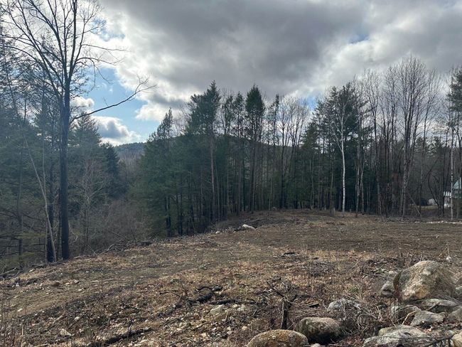 0 Old Swanzey Rd, Home with 0 bedrooms, 0 bathrooms and null parking in Winchester NH | Image 4