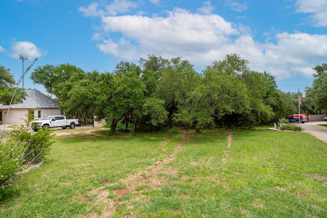 View of green lawn | Image 8
