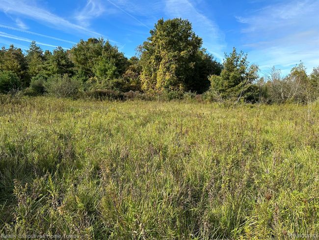 000 Wildcat Rd, Home with 0 bedrooms, 0 bathrooms and null parking in Jeddo MI | Image 9