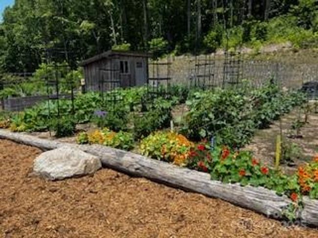 30 - Lot 30 Trillium Garden Trl, Home with 0 bedrooms, 0 bathrooms and null parking in Fletcher NC | Image 6