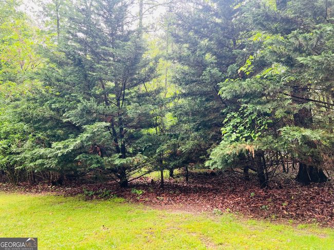 481 Lennox Way, House other with 3 bedrooms, 2 bathrooms and null parking in ROCKY FACE GA | Image 9