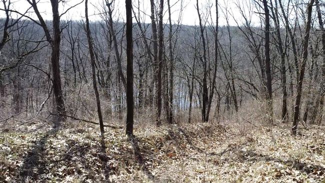12100 Woodland Trl, Home with 0 bedrooms, 0 bathrooms and null parking in Davisburg MI | Image 19