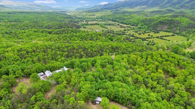 388 Hemlock Ridge Lane, Catawba | Image 69