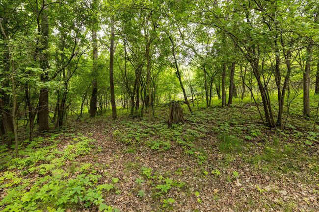 E12060 Twin Oaks Road, House other with 3 bedrooms, 2 bathrooms and null parking in Fairfield WI | Image 26