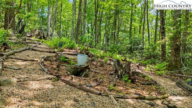 157 Twisted Laurel Ln, House other with 3 bedrooms, 2 bathrooms and null parking in Blowing Rock NC | Image 21