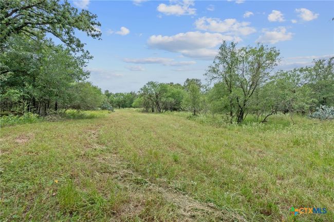 3597 Baker Rd, Home with 0 bedrooms, 0 bathrooms and null parking in Kingsbury TX | Image 29