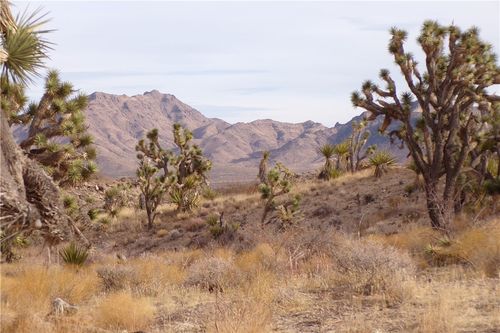 Lot 72 W Twentieth St, Dolan Springs, AZ, 86441 | Card Image