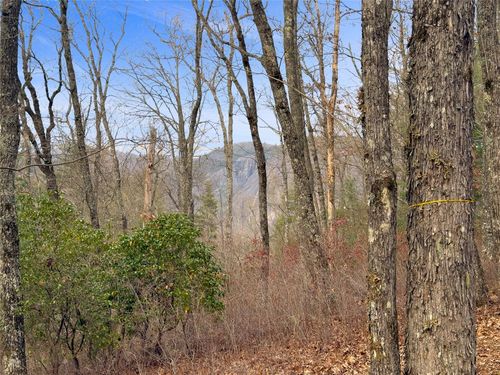 79 Tuttle Mink Trl, Sapphire, NC, 28774-0499 | Card Image