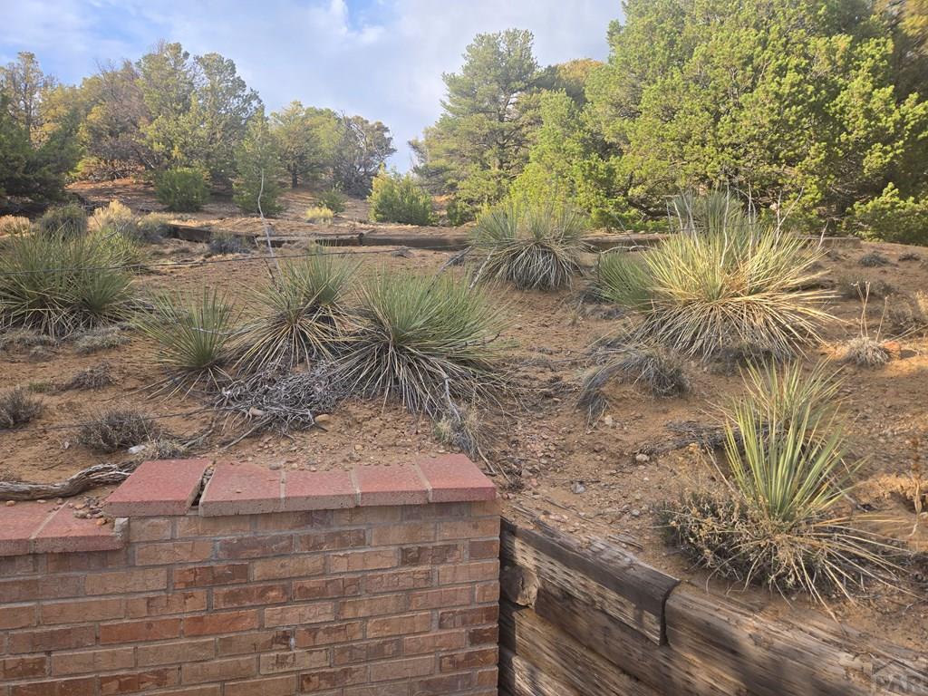 Residential in Walsenburg 5