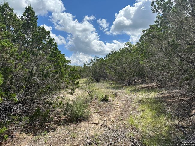 7131 Rebecca Creek Rd, Home with 0 bedrooms, 0 bathrooms and null parking in Spring Branch TX | Image 4