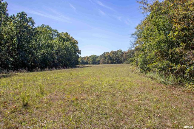 27232 215 Th St, Home with 5 bedrooms, 4 bathrooms and null parking in Canton MO | Image 21
