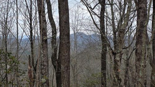 35AC Ducks Nest Rd, Turtletown, TN, 37391 | Card Image