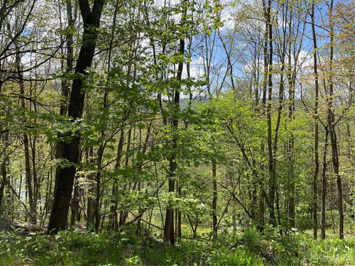 lot-a-000 Peregrine Ln, Bakersville, NC, 28705 | Card Image