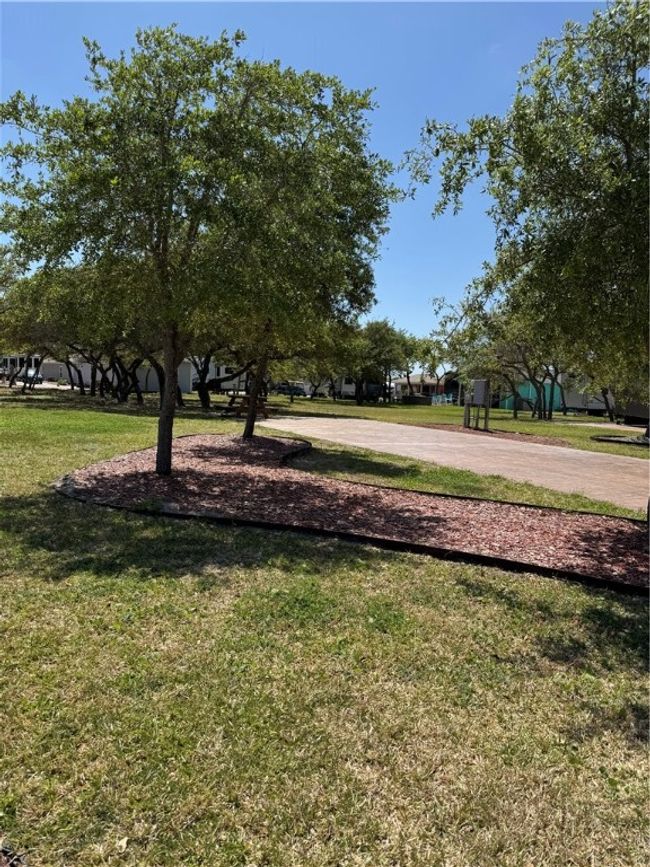 Plenty of room for your casita! | Image 5