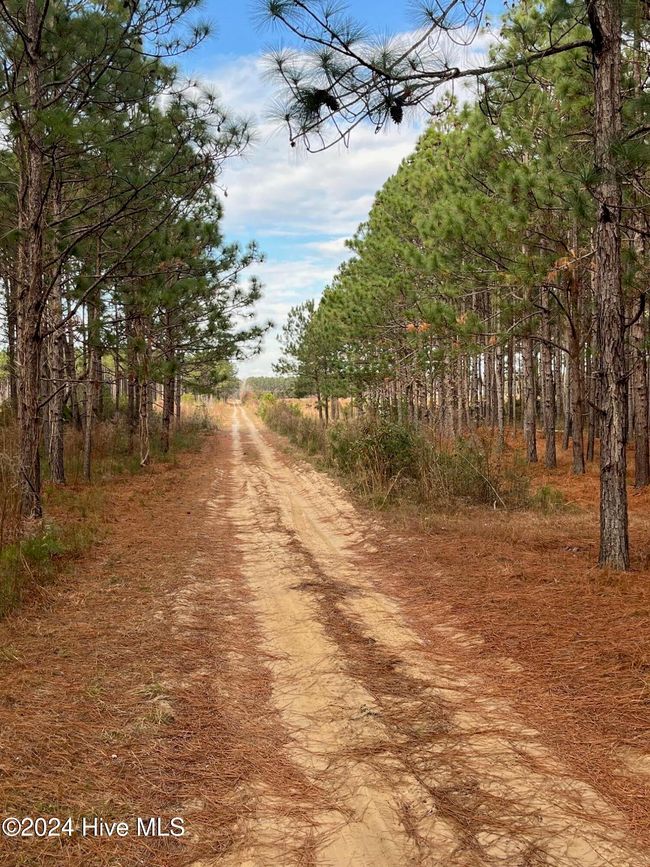 55618 Nc 210 Hwy, Home with 0 bedrooms, 0 bathrooms and null parking in Currie NC | Image 24