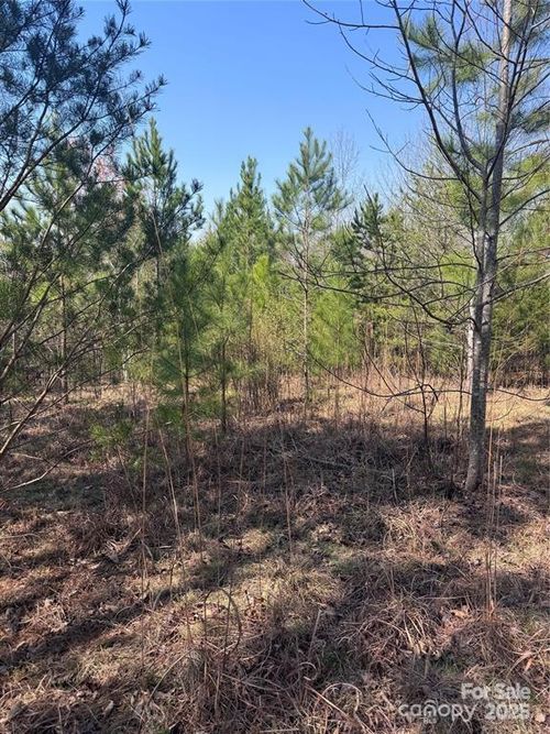 277-0 Cross Creek Dr, Rutherfordton, NC, 28139 | Card Image