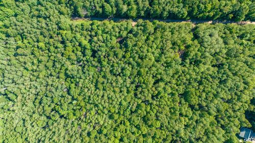 lots-2and3-11142 Dream Lake Rd, Long Lake, WI, 54542 | Card Image