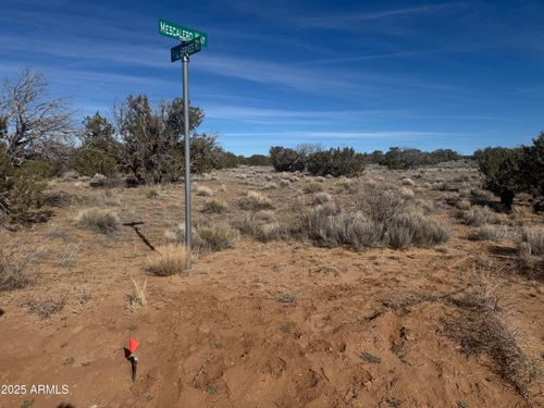 98-98 Woodland Valley Ranch --, St Johns, AZ, 85936 | Card Image