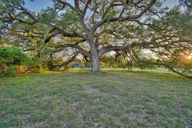 8456 Schuster Rd, Home with 5 bedrooms, 4 bathrooms and 2 parking in Ledbetter TX | Image 21