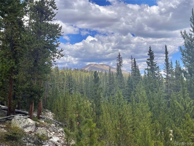 676 Dry Gulch Rd, Home with 0 bedrooms, 0 bathrooms and null parking in Fairplay CO | Image 26