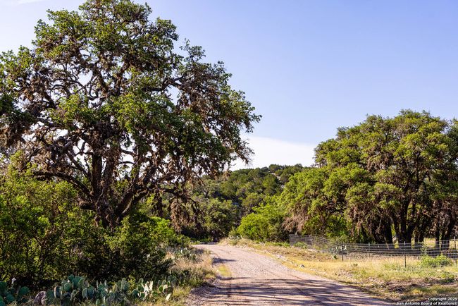 14910 Bullhead Rd, Home with 3 bedrooms, 1 bathrooms and null parking in Rocksprings TX | Image 25