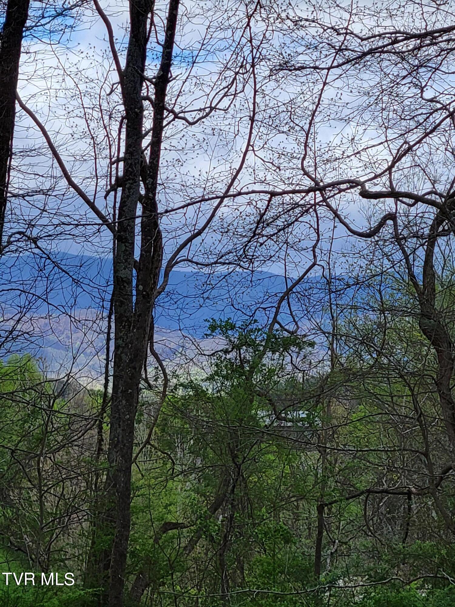 Land in Limestone 3