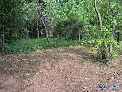 6.33 acres N Greenway Dr, Trinity, AL, 35673 | Card Image