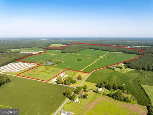 3203 Betheden Church Rd, POCOMOKE CITY, MD, 21851-2549 | Card Image