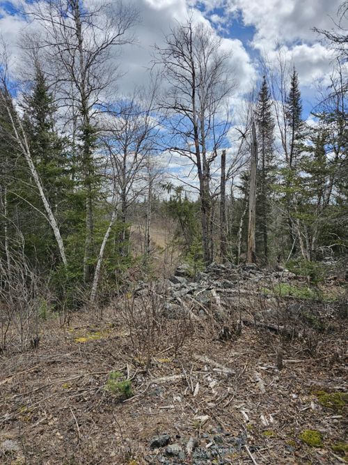 0 Dis Of Timiskaming Road, Kirkland Lake, ON, 00000 | Card Image