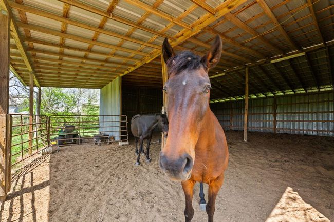 View of stable | Image 7