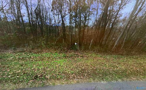 1.0 Mountain View Dr, Russellville, AL, 35653 | Card Image