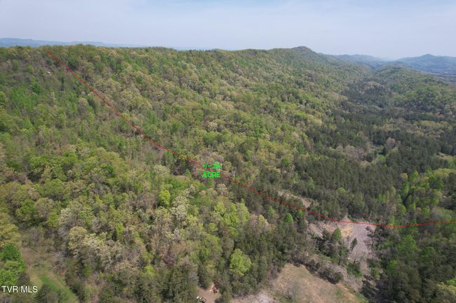 0 Coy Bradley Ln, Home with 0 bedrooms, 0 bathrooms and null parking in Bulls Gap TN | Image 4
