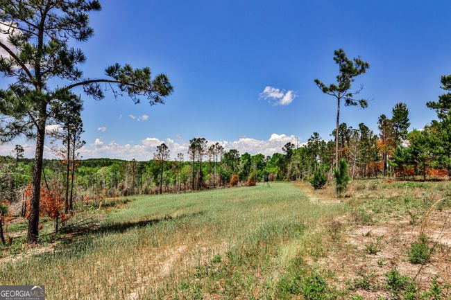 0 Kemp Rd, Home with 0 bedrooms, 0 bathrooms and null parking in Buena Vista GA | Image 4