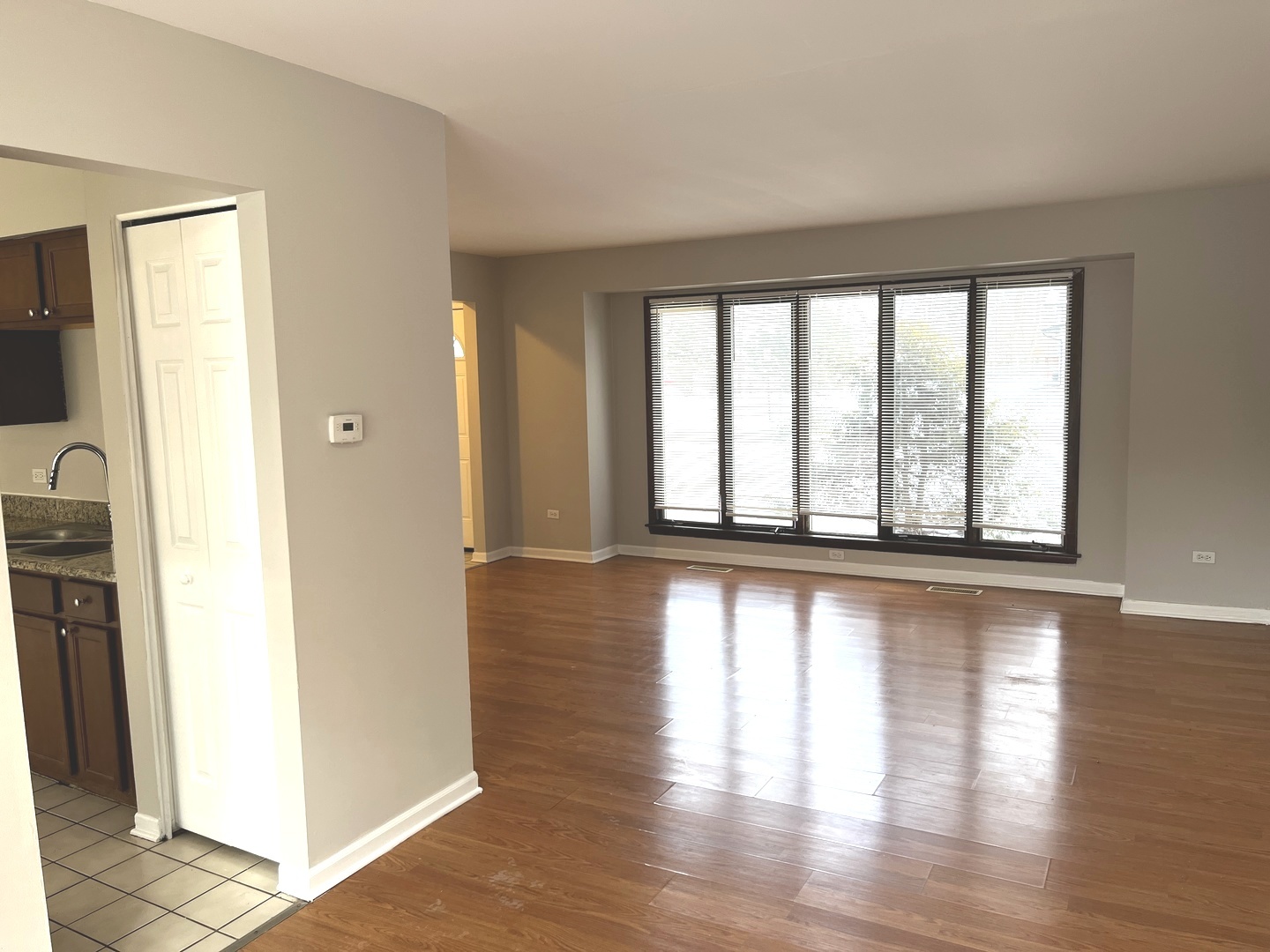 Residential in Richton Park 4