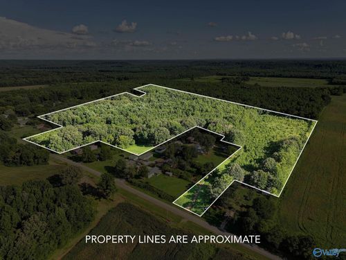 31 ACRES Cottontown Ln, Leighton, AL, 35646 | Card Image