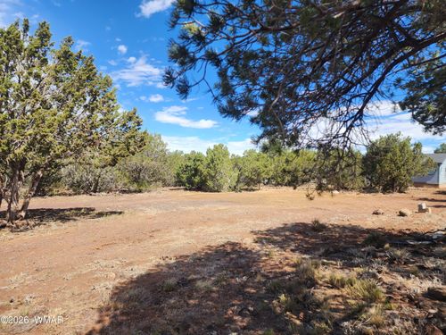 77 Cr 3077, Vernon, AZ, 85940 | Card Image