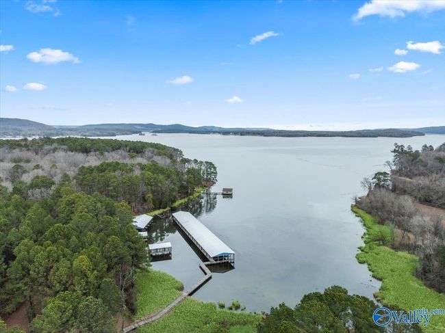 331 John Cabaniss Rd, Home with 0 bedrooms, 0 bathrooms and null parking in Langston AL | Image 4