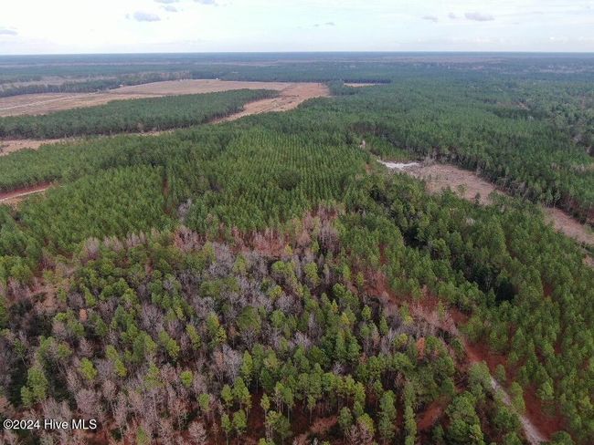 55618 Nc 210 Hwy, Home with 0 bedrooms, 0 bathrooms and null parking in Currie NC | Image 37