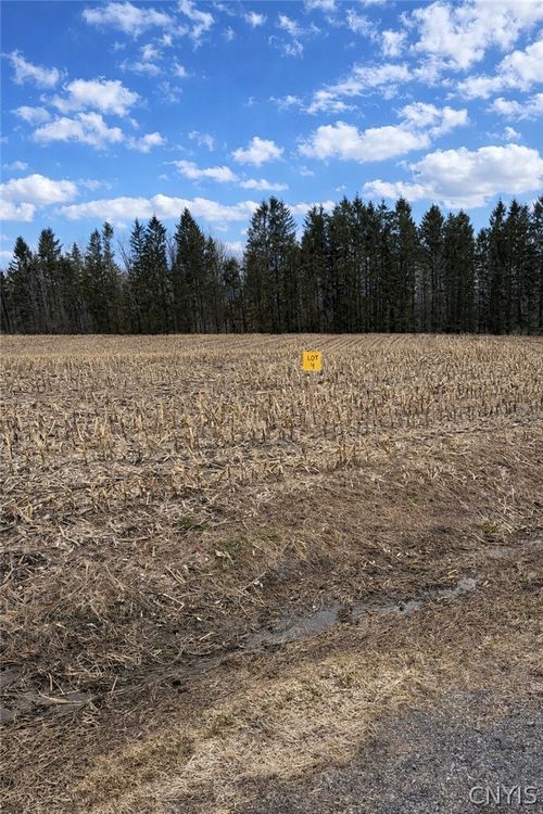 00 Skinner Lot 4 Road, Richfield, NY, 13439 | Card Image