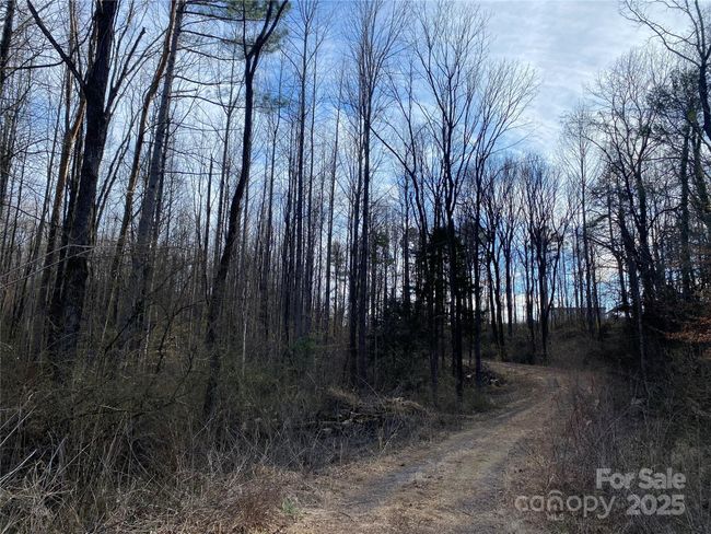3 - 3288 Tatertown Loop, Home with 0 bedrooms, 0 bathrooms and null parking in Nebo NC | Image 5